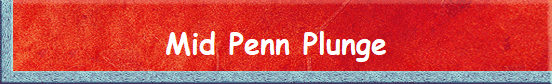 Mid Penn Plunge